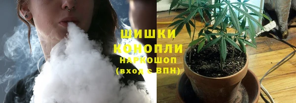 стафф Дмитровск