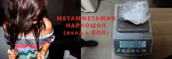 шишки Новозыбков