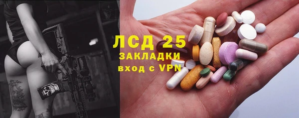 шишки Новозыбков