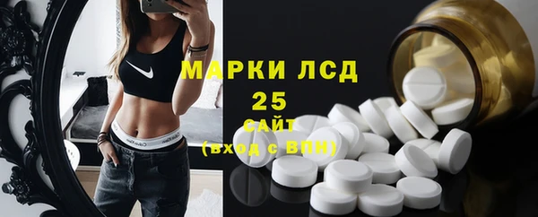 шишки Новозыбков