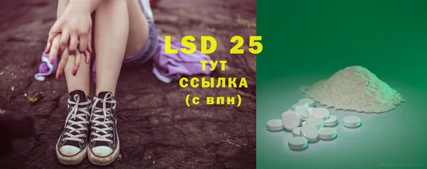 шишки Новозыбков