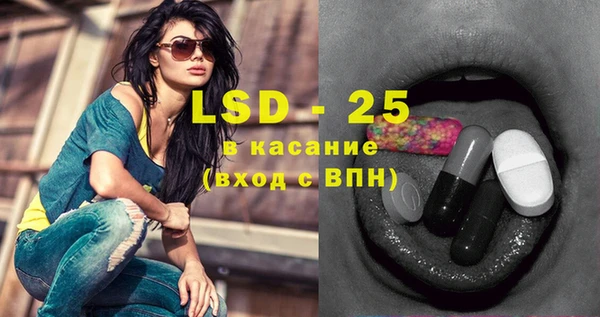 шишки Новозыбков