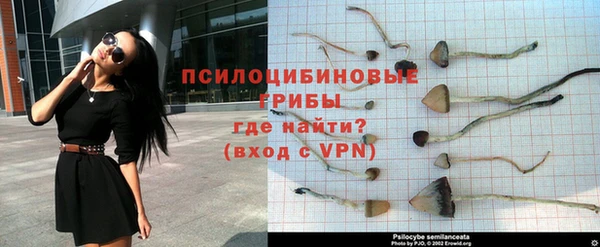 дживик Новодвинск