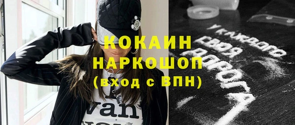 дживик Новодвинск