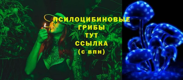 шишки Новозыбков